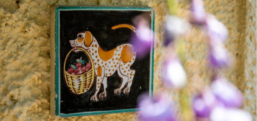 Alloggio Per Uso Turistico Sant'Andrea Lariano Zewnętrze zdjęcie